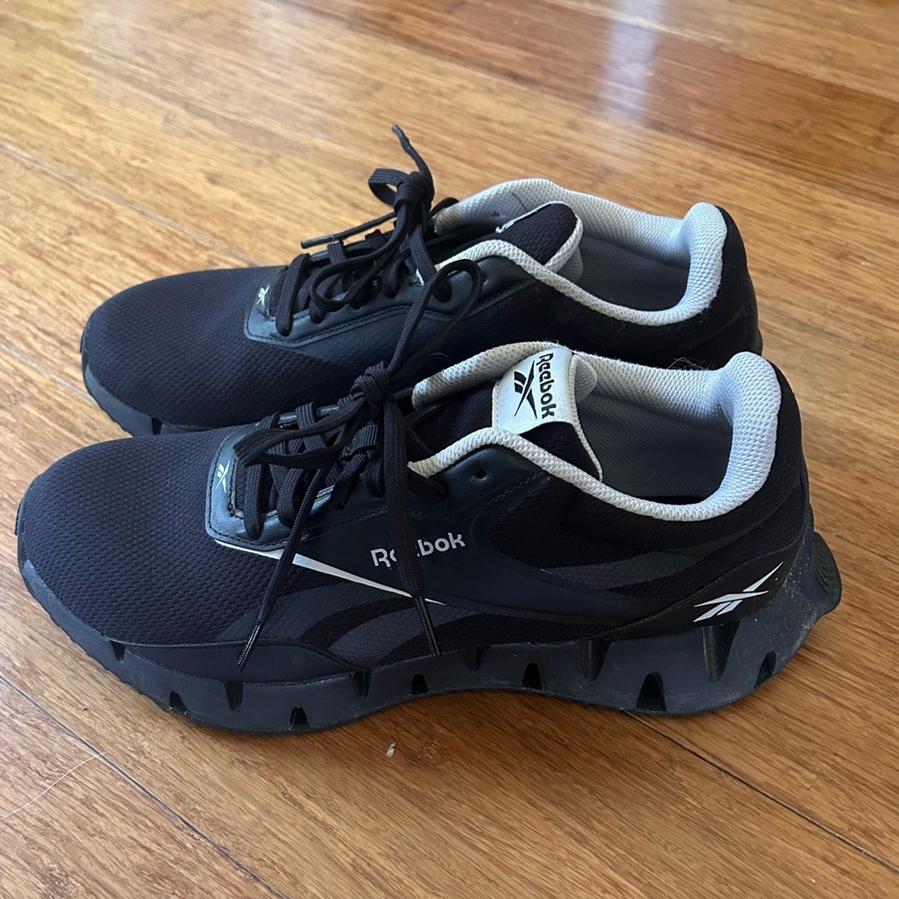 Reebok Zig Dynamica STR Men's shoes
